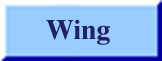 Wing Button