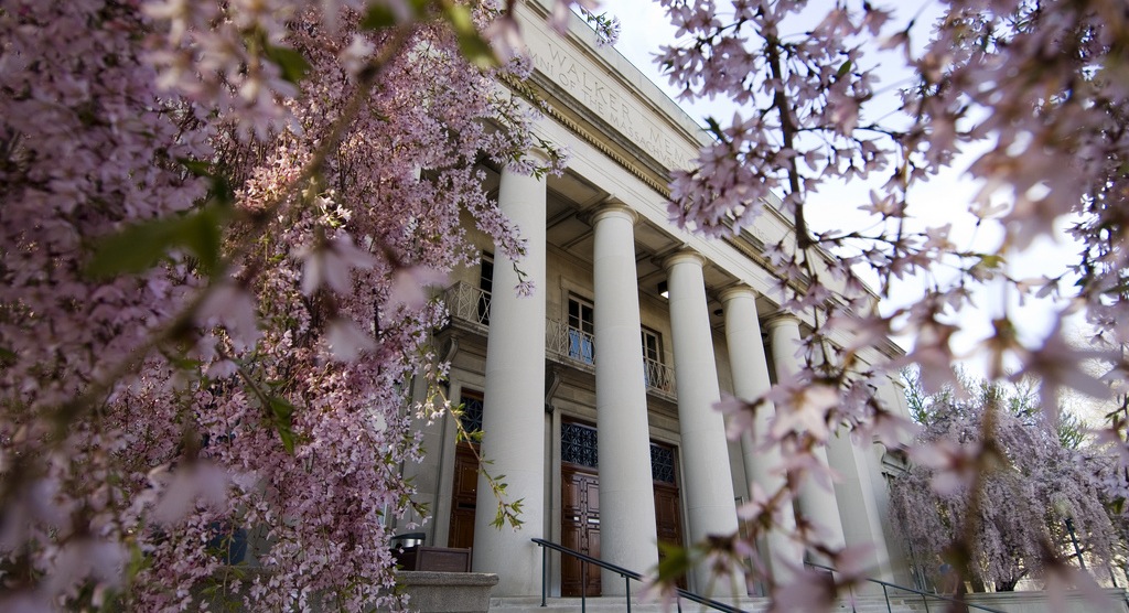 MIT-in-spring